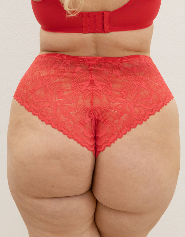 High-Brazilian Cariba hibiscus