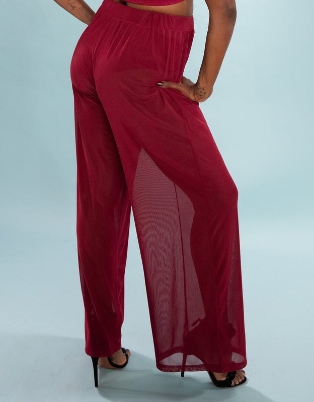 Pants Sheer transparent bordeaux